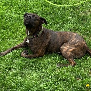 Meet your Posher, Chad